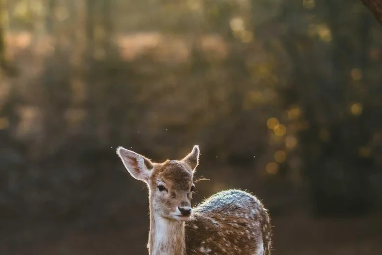 3 Tips for Successfully Launching a New Website