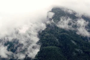 10 new tracks you'll love: BTS, Ariana Grande and more