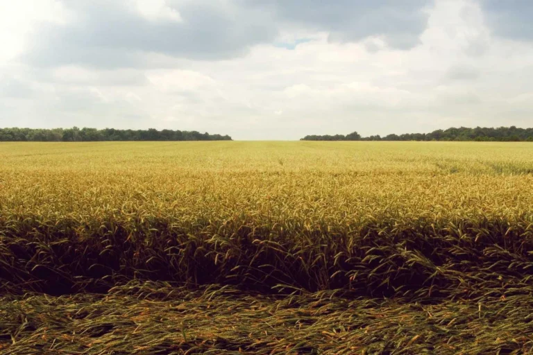 reasons watch fear street trilogy