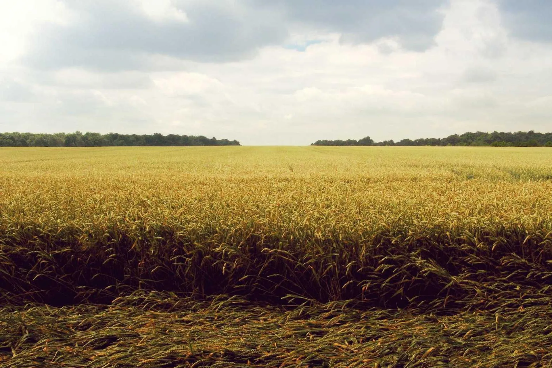 reasons watch fear street trilogy