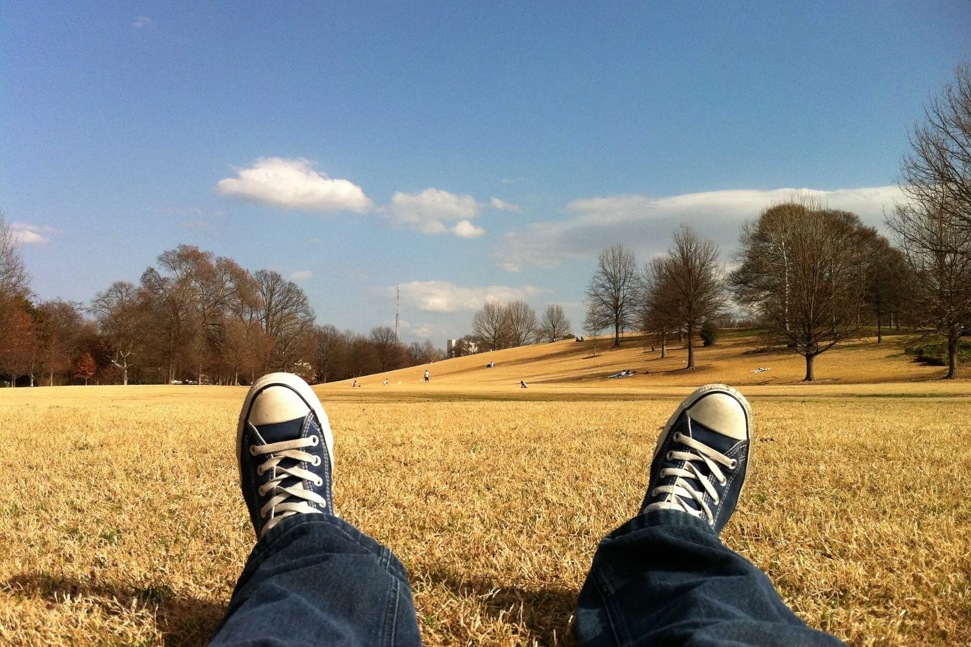 Scream (2022) Review - Flavourmag