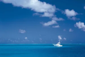 5 New Tracks we know you’ll love: Sophie Meiers, DAYTIME TV and more - Flavourmag