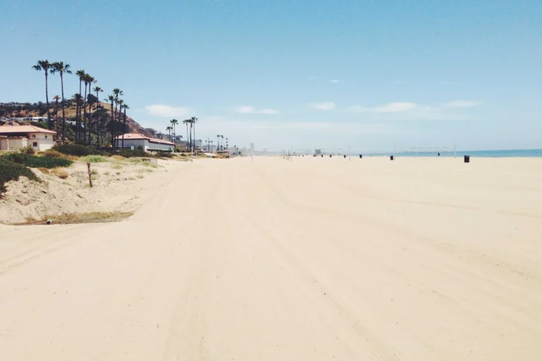 UK Private Jet Hire: How Does It Work? - Flavourmag