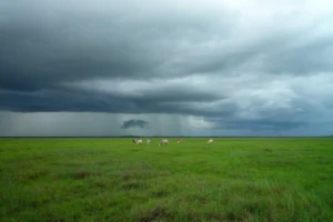 A Comprehensive Guide to Responsible Entertainment: Unveiling the Intricacies of Modern Gambling