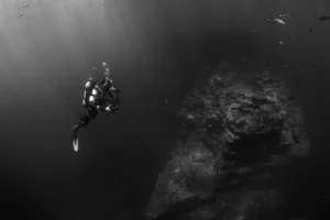 How Fashion Trends Reflect the Changing Society in the UK