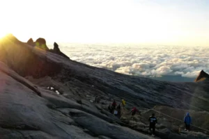 5 Tips for Taking Your Business Online - Flavourmag