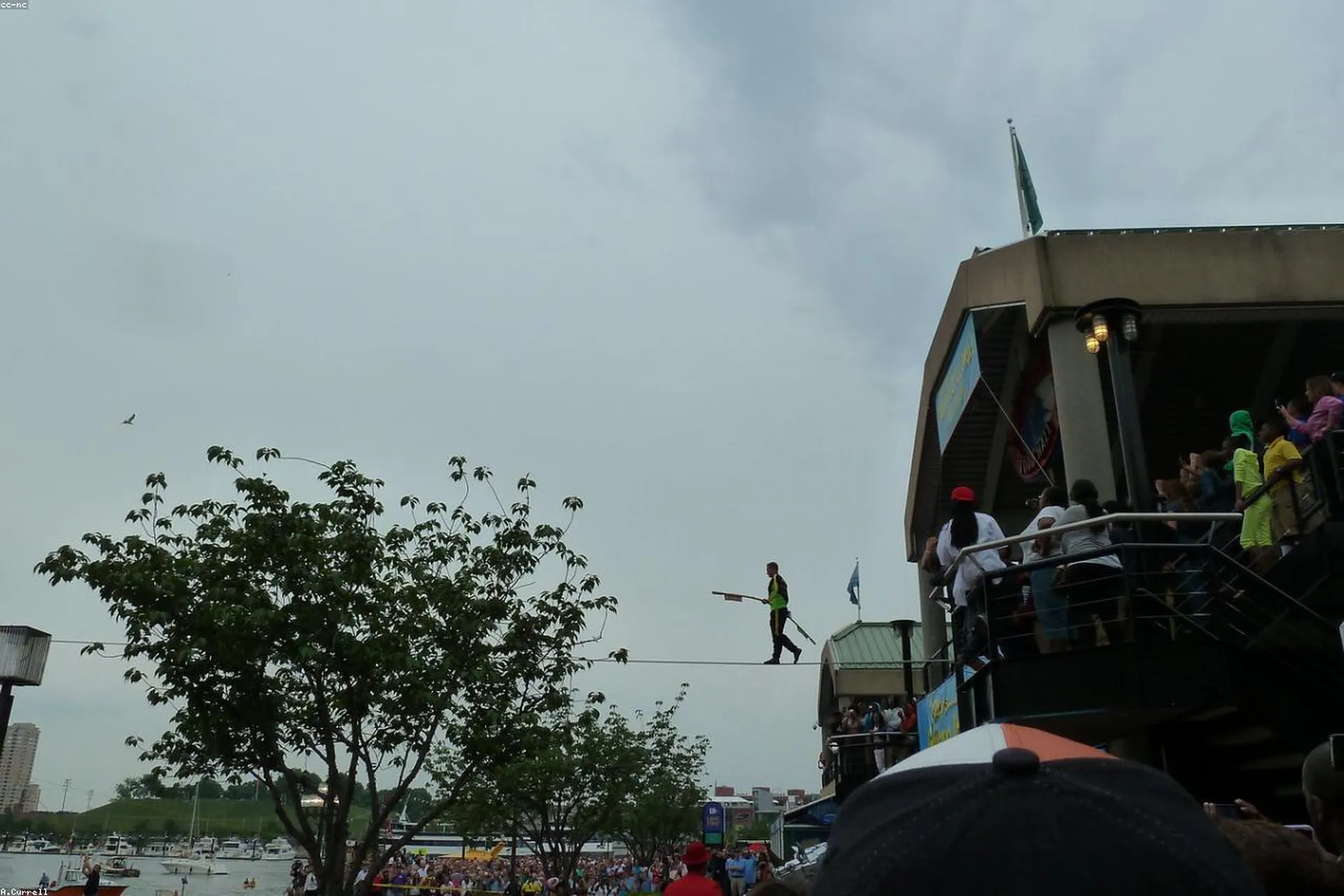 Artist of The lifestyle image