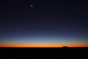 Interview: Kalpee on new EP and mental health in 2020