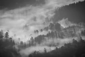 Blithe Spirit Review