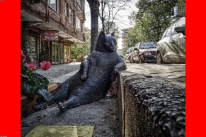 Four Stag Party lifestyle image