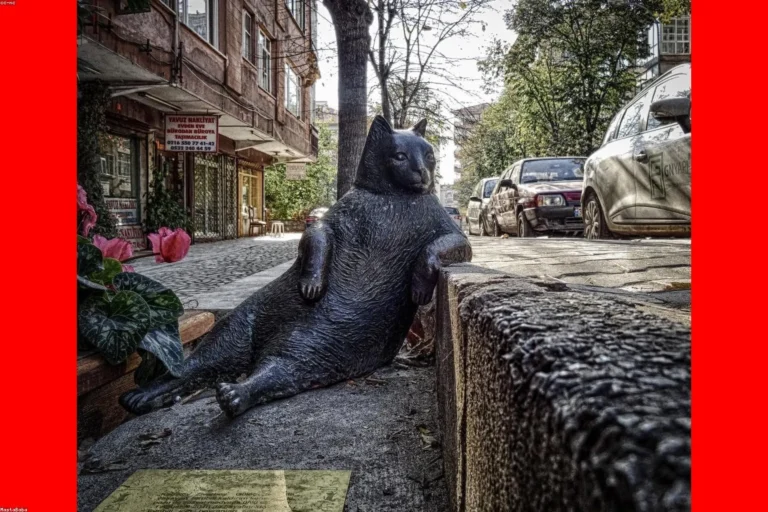 Four Stag Party lifestyle image