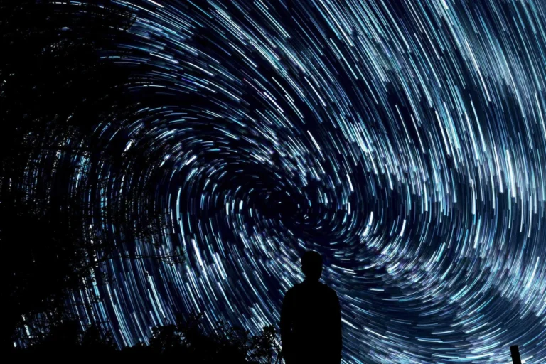 Love the world: why hedging is good for your garden