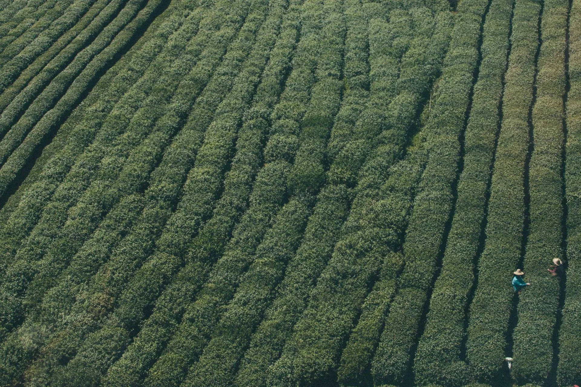 Using Alternative Payment Methods at an Online Casino: What are the Benefits? - Flavourmag