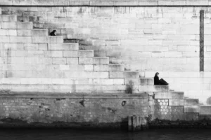 Free Guy trailer starring Ryan Reynolds + UK cinema release date