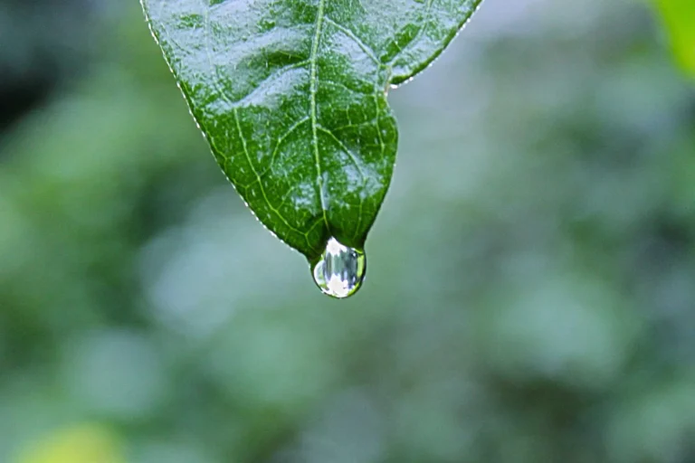 Glam Gifts from Victoria's Secret