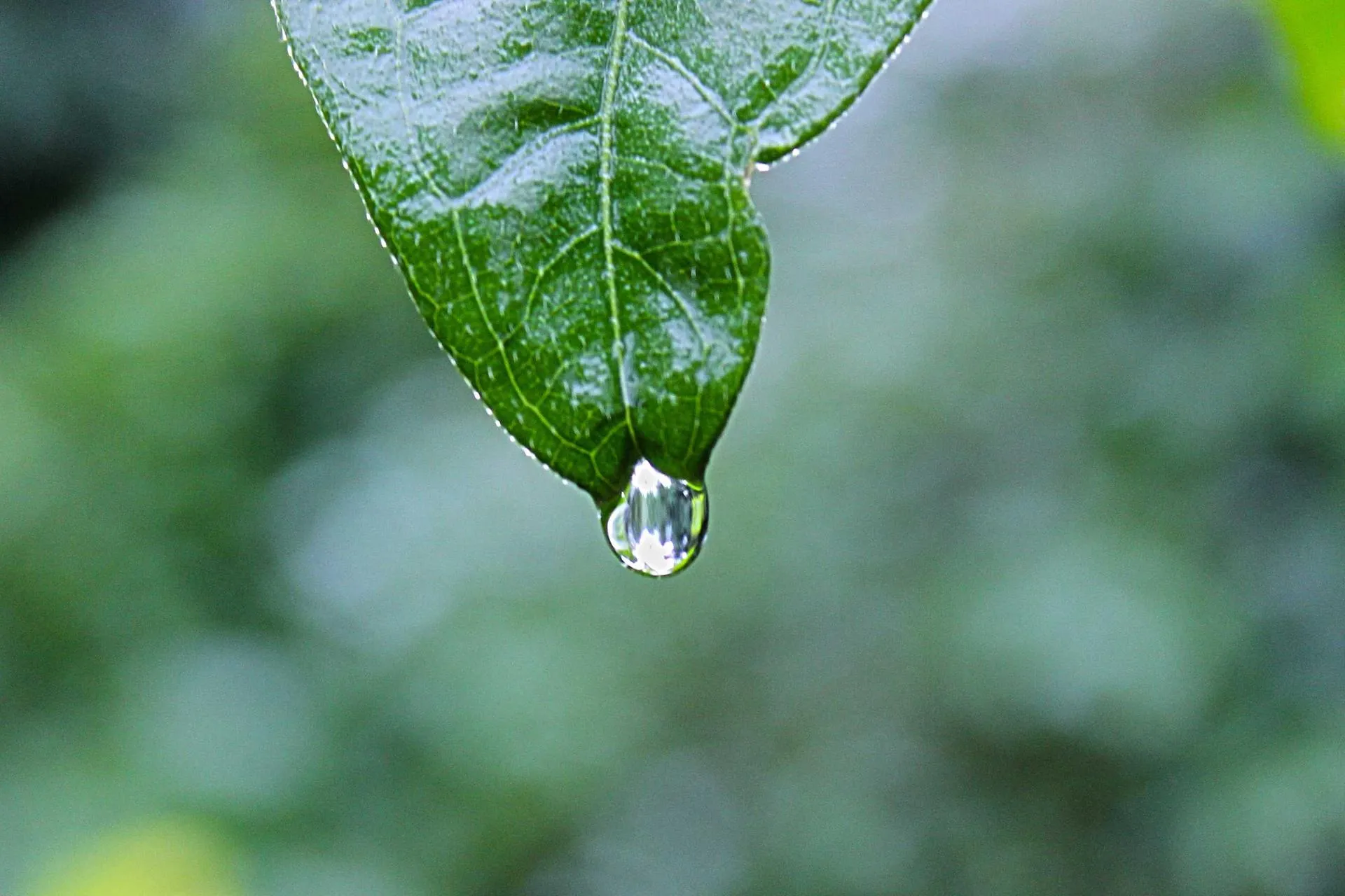 Glam Gifts from Victoria's Secret