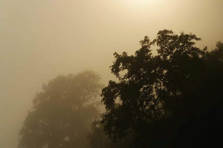 Glitterfest Night Brunch - Thursday 5th November @ Proud Cabaret City