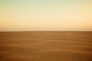 New Music: Max & Harvey release new single ‘In My DNA’