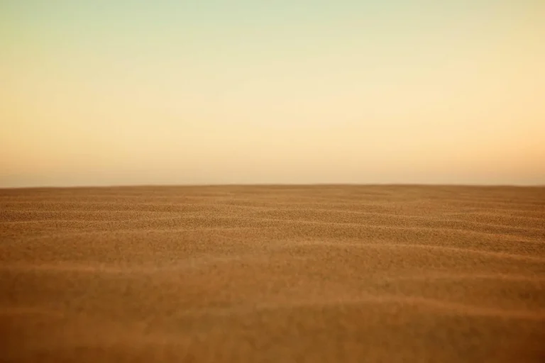 New Music: Max & Harvey release new single ‘In My DNA’