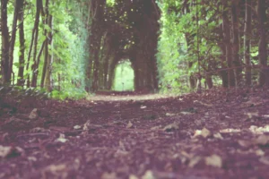 Nike Air Max Day - It's official, today is Air Max Day