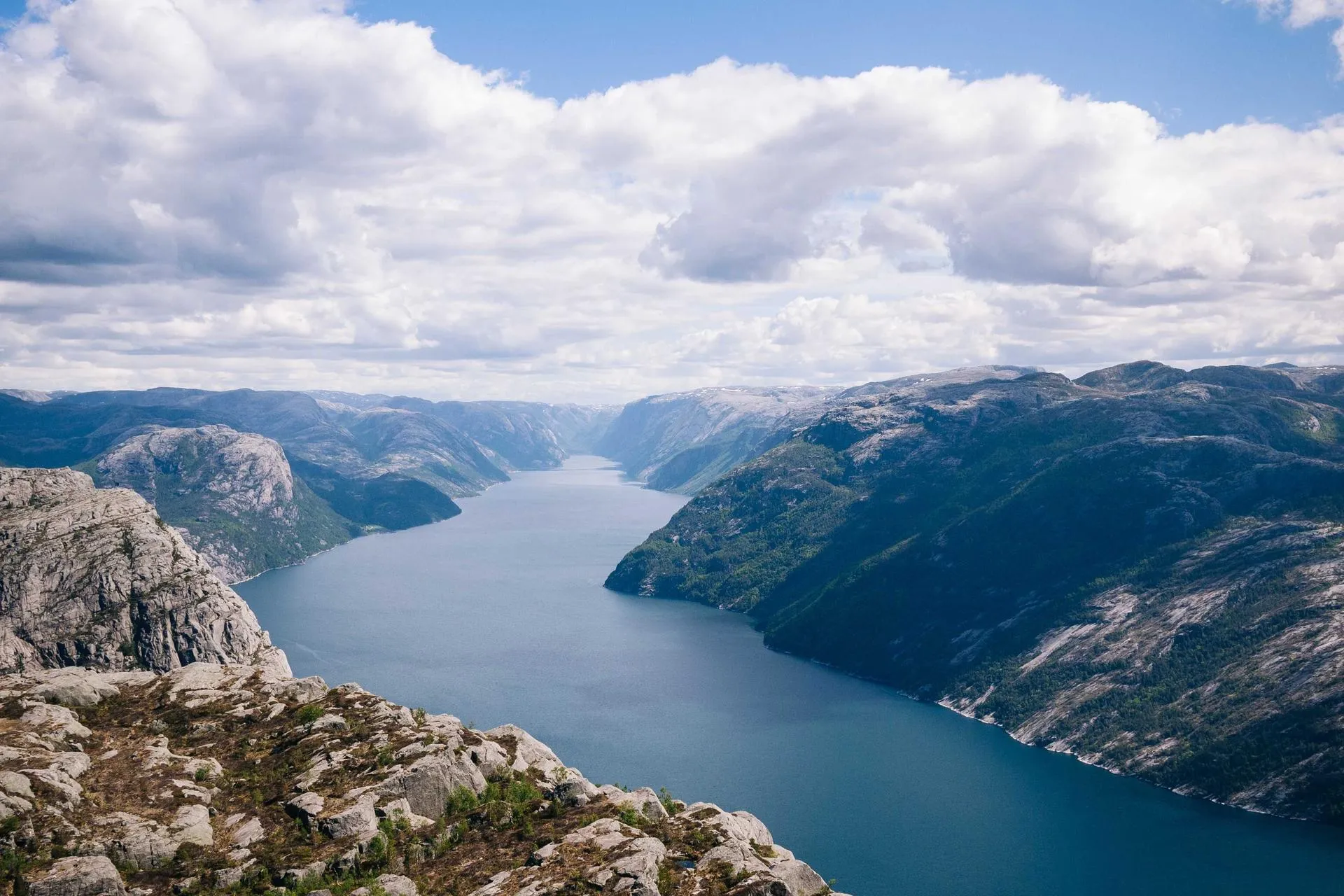 party free rinse dalston roof article