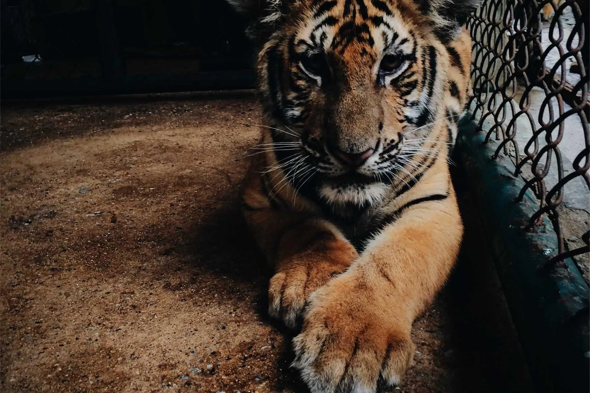 The Rap Game UK - New trailer from new series