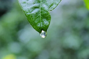 We Are FSTVL 2021 – Andy C, Gorgon City, Carl Cox, Jamie Jones, Camelphat + More