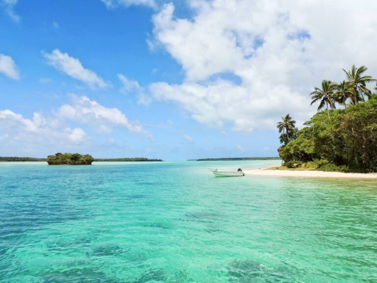 Palm-fringed beach in Jamaica