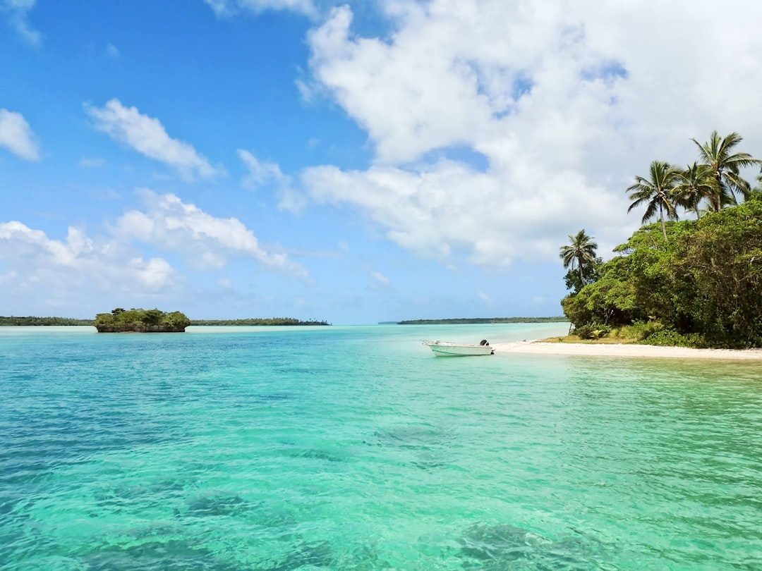 Palm-fringed beach in Jamaica