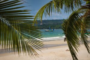Tropical beach with palm leaves, boat, and distant hills.