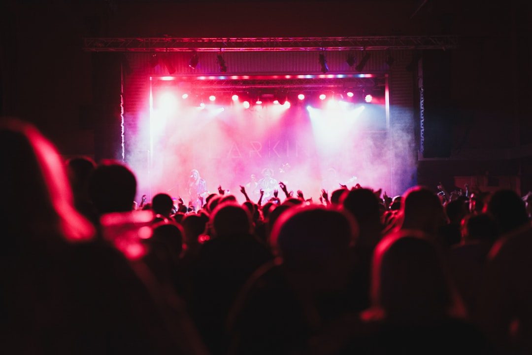 group of people enjoying concert