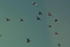 Boomtown Festival 2021 POSTPONED – Returns 10th-14th August 2022
