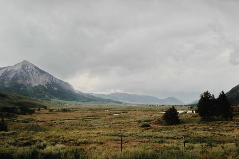 Colesound releases debut album Dreamcatcher