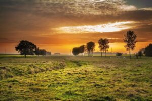Single vs Double Cuff – Which one is best? - Flavourmag