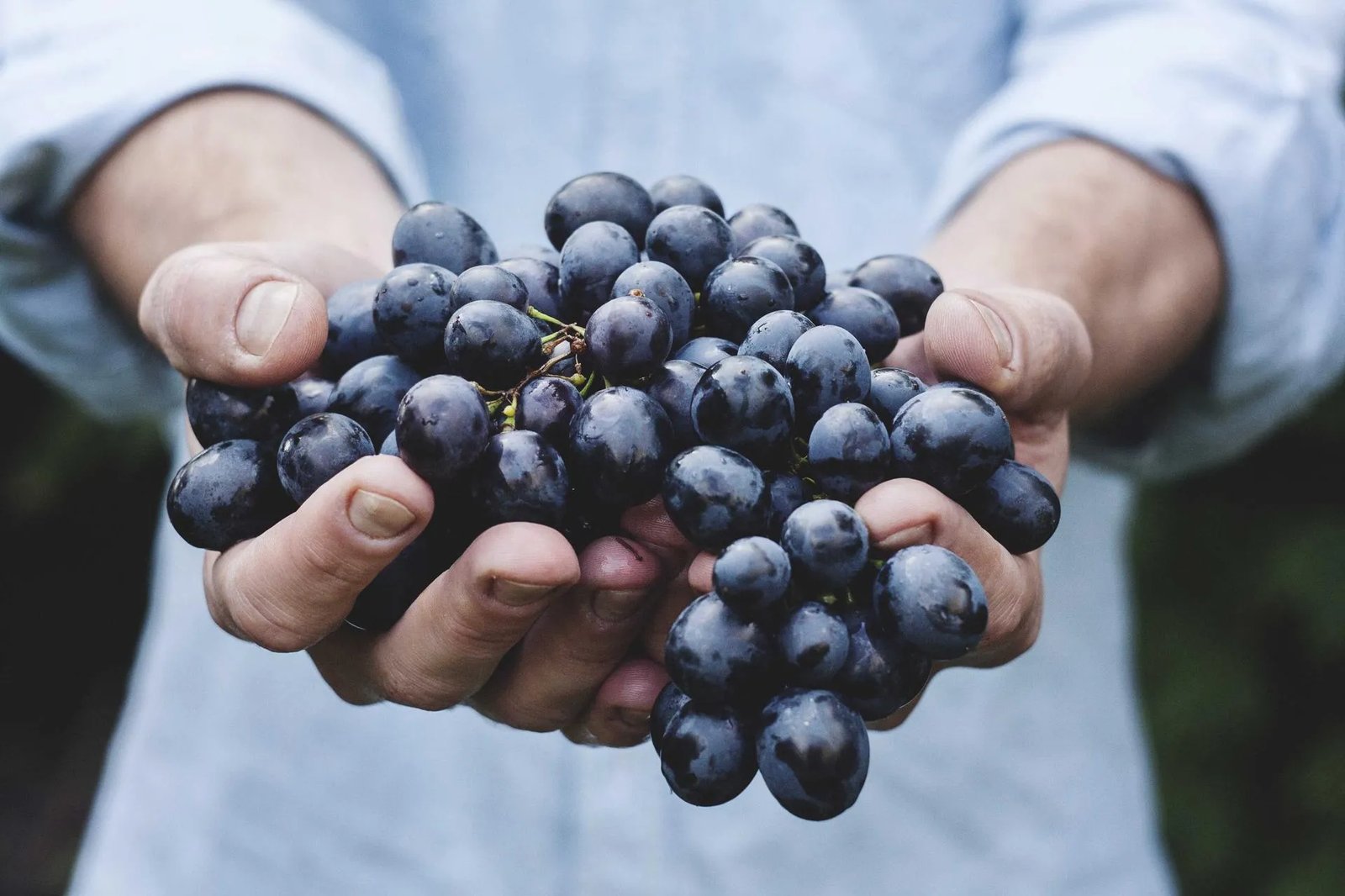 Why You Should Invest in Your Wardrobe - Flavourmag