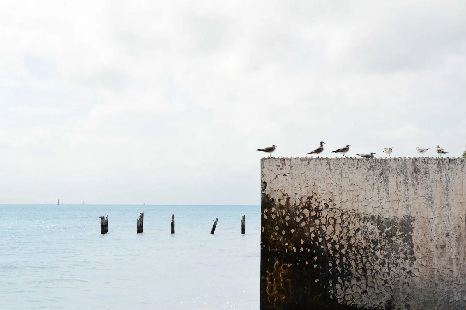 5 Tips for Getting Into Your Preferred University