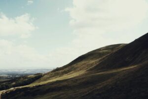 Stillwater Review