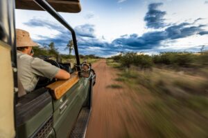 Luxury Safaris for Every Traveller