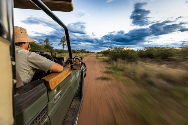 Luxury Safaris for Every Traveller