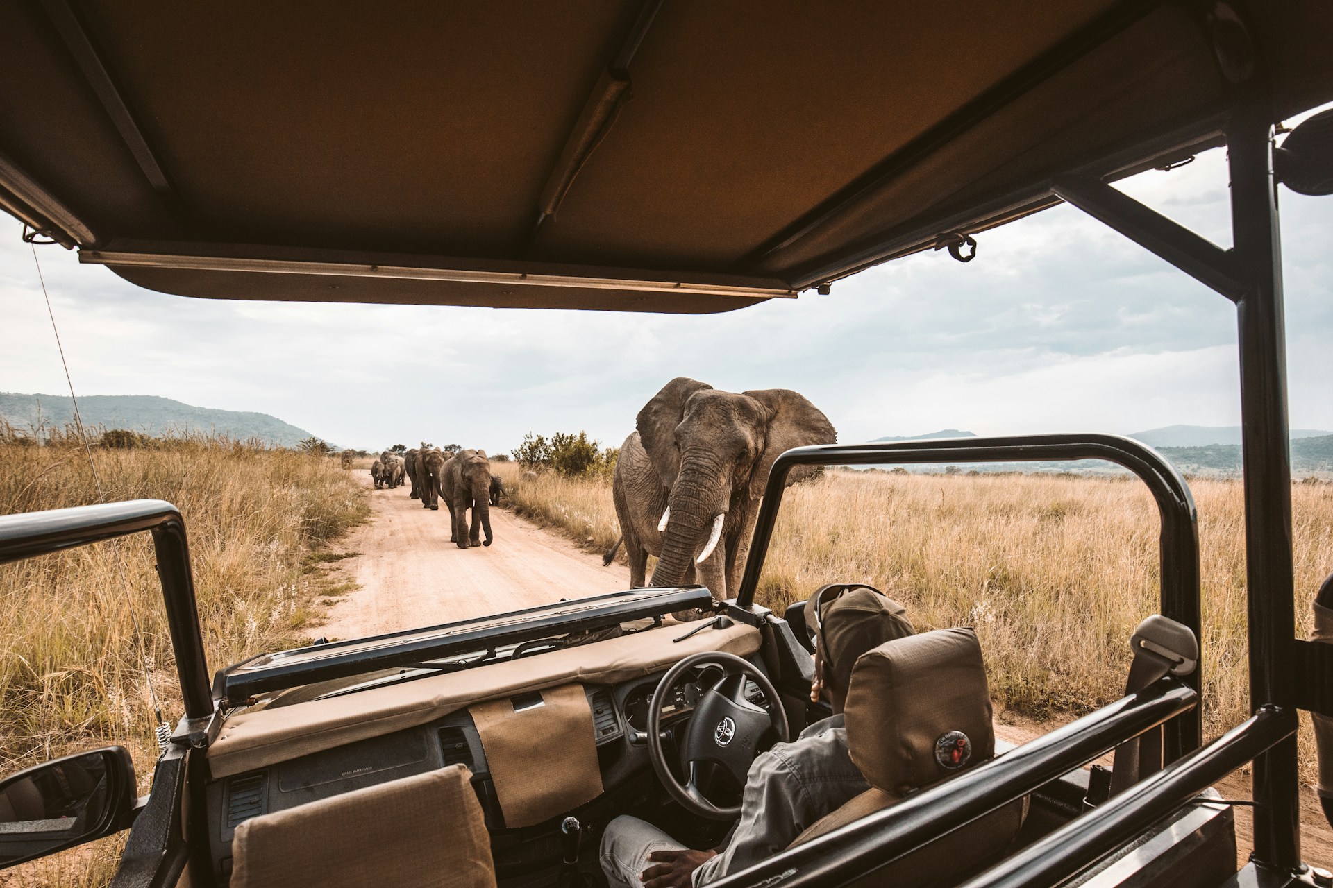 Luxury Safaris for Every Traveller
